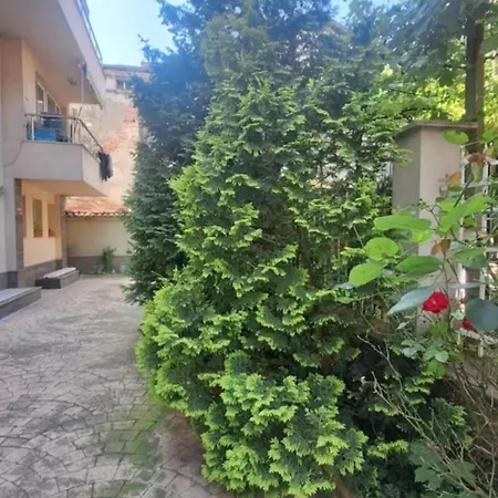 Ahinora