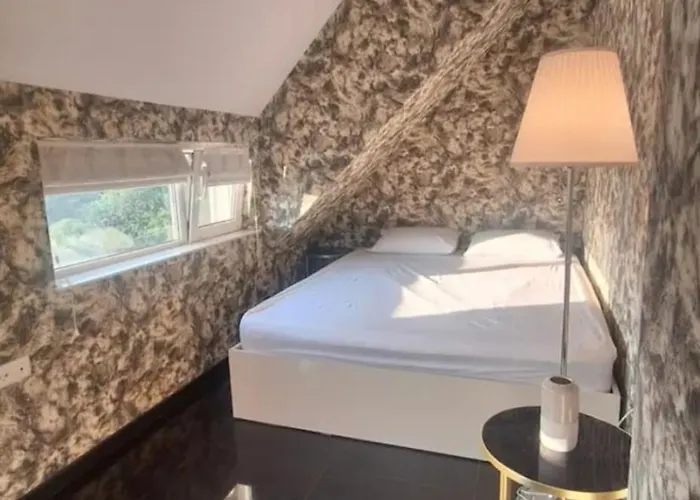 Ahinora 普罗夫迪夫