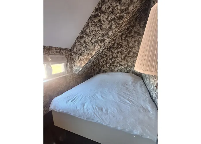 Ahinora * 普罗夫迪夫